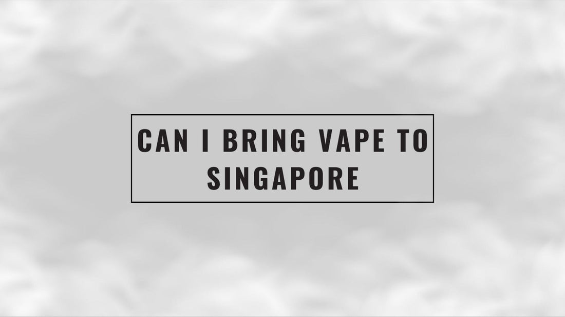 Can_I_Bring_vape_to_Singapore_Cover_(sg vape delivery shop)