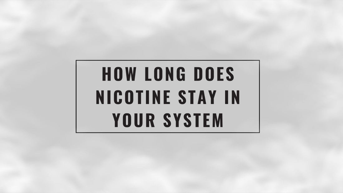 How_long_does_nicotine_stay_in_your_system_cover_(vape_SG)